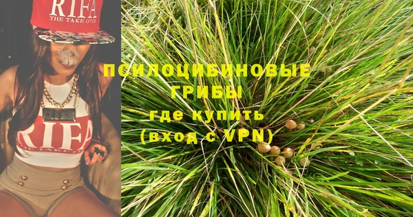 ПСИЛОЦИБИНОВЫЕ ГРИБЫ Алексин